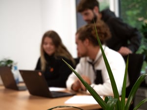 arbeit-laptops_pflanze